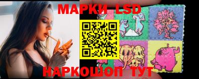 молекула духа Будённовск