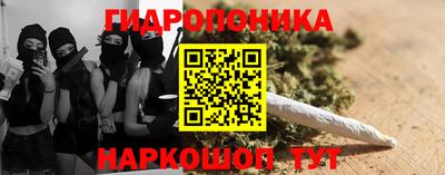 молекула духа Будённовск